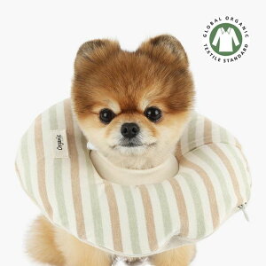 \̔yITS DOGzOrganic Home Care Ring Neck Collar (Olive) ITS DOG Organic Home Care Ring Neck Collar Olive ؍ pi hbOObY GUxXJ[  p