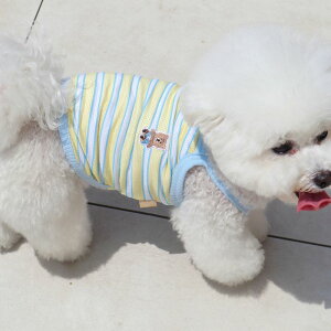 \̔yDURANG RURANGzStripe Bear Cool-TiLemon Sodaj  hbOEFA ̕ ^ ^ pi hbOObY TVc X[uX t