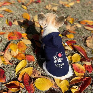 [yFIFA WORLD CUP QATAR 2022_zFIFA dog parkeriNavyjp p[J[  hbOEFA ̕ L̕ L  TbJ[ {\ { Wp JAPAN TCWp JAPAN ItBVCZX
