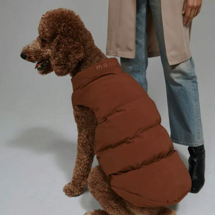 楽天市場】即納【max bone】Arabella Puffer Vest（Brown） 犬服 
