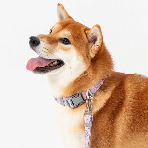 [yandblankzICONIC Jelly Phant CollariPinkj ؍ pi hbOObY  hbOJ[ ֏^  p [h ̃[h