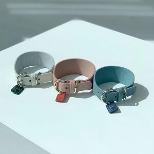 \̔ymaison de miuz Soft Wide Collar (White/Rose Pink/Indian Blue) ؍ uh 킢  v[g ^  ^I l[^O UObY NEW