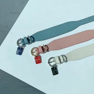 \̔ymaison de miuz Soft Wide Collar (White/Rose Pink/Indian Blue) ؍ uh 킢  v[g ^  ^I l[^O UObY NEW