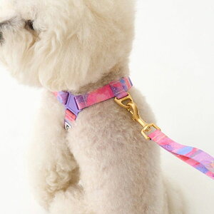 \̔yiCANDORzGentle LeashiMILKY WAYj [h p[h [h^ [h^ ^[h LEAD p ybgp [h Upi UObY  킢  U v y