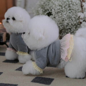 [yBeBe Breathzalice lace T-shirt  hbOEFA ̕ ^ ^ TVc X[uX pi hbOObY ؍