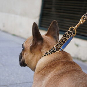 [yiCANDORzMARTINGALE COLLAR BUCKLEiLEOPARDj pi hbOObY  n[lX [h ̎ hbOJ[  p ̃n[lX