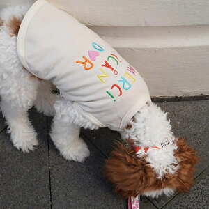 \̔yiCANDORzMERCI iCANDOR TOPiEIFFLE TOWERj  hbOEFA ̕ ؍ pi hbOObY ^ ^ ^ ^