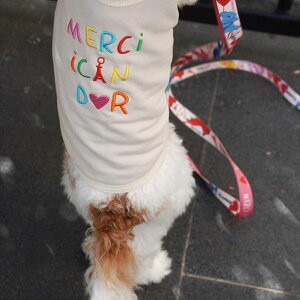 \̔yiCANDORzMERCI iCANDOR TOPiEIFFLE TOWERj  hbOEFA ̕ ؍ pi hbOObY ^ ^ ^ ^