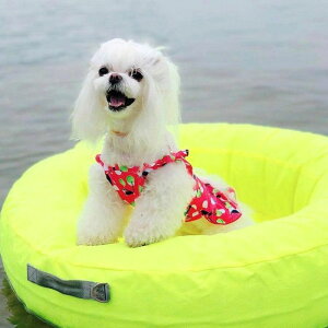 \̔yINSIDE DOG & CATzmacaron tubeiLight Greenj ؍ uh 킢  v[g ^ obO  [h   `[u  NEW t 