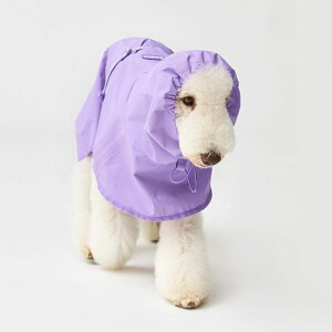 [yiCANDORzADVENTURE RAINCOAT EARTHiBOUNCY PURPLEj pi hbOObY CR[g UObY Upi ؍ |` ^ ^ t