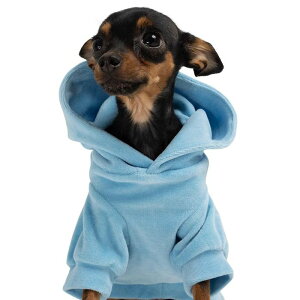 [yMOSHIQAzCute But Psycho Dog Hoodie AJ pi hbOObY hbOEFA  ̕ ^ ^ t t