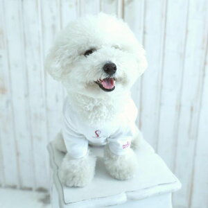 [yFIFA WORLD CUP QATAR 2022_zFIFA dog longsleeveiWhitej p gbvX hbOEFA ̕ L̕ L  TbJ[ {\ { Wp JAPAN TCWp JAPAN ItBVCZ