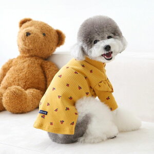 ���\��̔��yITS DOG�zMarigold Ruffle T-shirt