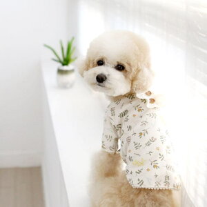 \̔yITS DOGzOrganic Botanic Garden T-Shirt  hbOEFA ̕ ^ ^ TVc X[uX pi hbOObY ؍