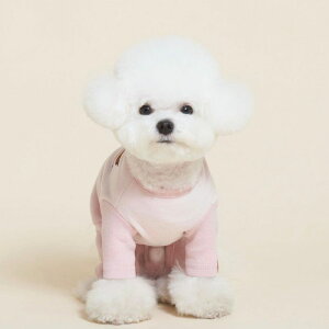 \̔ymeaninglesszGOSOMI ALL IN ONEiPinkj ؍ uh 킢  v[g ^ NEW t H ~