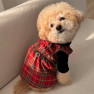 \̔yFREDDIE TALEzLondon Check OpsiRedj  hbOEFA ̕ ^ ^ pi hbOObY s[X ؍ H