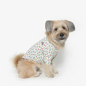 [yTUSTUSzFlower Frill Tee  hbOEFA TVc X[uX ̕ ^ ^ pi hbOObY ؍