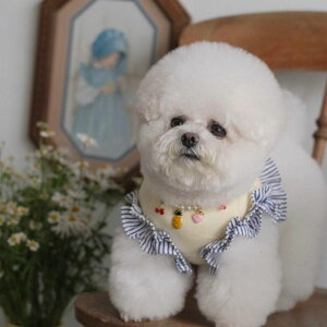 [yBeBe Breathzbis T-shirtisugar yellowj  hbOEFA ̕ ^ ^ TVc X[uX pi hbOObY ؍