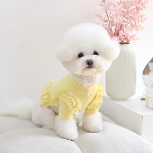 [yGET BACKzGet heat crop T-shirtiYellowj ؍ pi hbOObY TVc X[uX hbOEFA  ̕ ^ ^