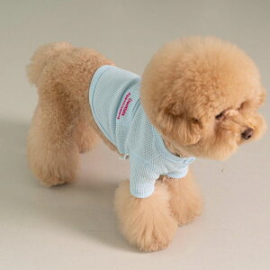 [yDAzbtNbvgbviXJCu[j ؍ uh 킢  v[g ^ NEW t  H