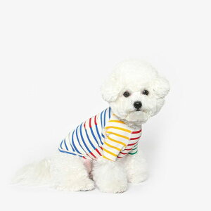 [yTUSTUSzCOLOR BLOCK STRIPE RAGLAN  hbOEFA ̕ ^ ^ pi hbOObY TVc X[uX ؍