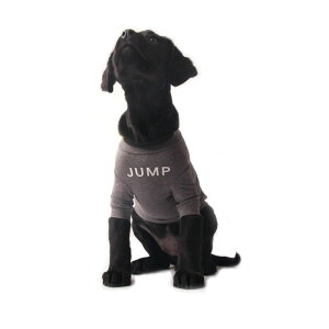 [ymonchouchouzREADY & JUMP T-shirtiJUMPj ؍ uh 킢  v[g ^ NEW t  H