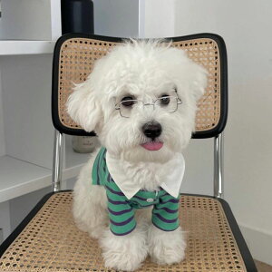 [yFREDDIE TALEzGLASSES ؍ pi hbOObY ዾ mI  y  3FWJ TCY