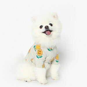 \̔yTUSTUSzFLOWER CARDIGAN  hbOEFA ̕ ^ ^ pi hbOObY ؍ t ĕ