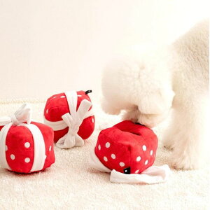 [yBITE MEzGift Box Nosework  m[Y[N pi hbOObY ؍ m mߋ ̂ ̃I` 