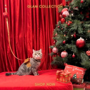 [yMOSHIQAzGlam Leash [h p[h ̃[h U[h pi hbOObY AJ {v  S[WX