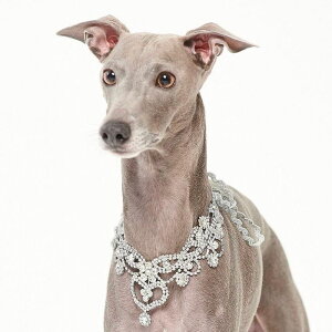 [yMOSHIQAzChristian Cowan Dog Necklace AJ pi hbOObY  hbOJ[ ֏^  p ̃n[lX hbOn[lX