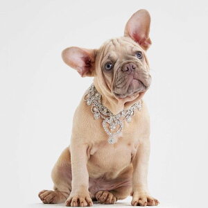 [yMOSHIQAzChristian Cowan Dog Necklace AJ pi hbOObY  hbOJ[ ֏^  p ̃n[lX hbOn[lX