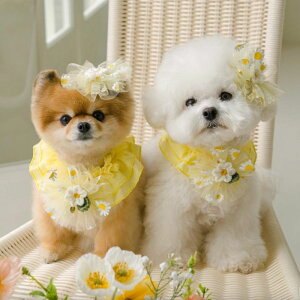 [yPets&MezDaisy Chiffon Frill Scarf pi hbOObY ؍ hbOEFA  ̕ ^ ^ XJ[t CG[