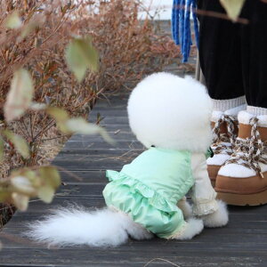 ���[�yGET BACK�zGoose Over all one�iMint�j ���� �h�b�O�E�F�A ���̕� ���^�� ���^���� ���p�i �h�b�O�O�b�Y �؍� �~ �~��