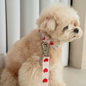 [yOUNCEzheart bongbong collariIvoryj pi hbOObY  ̎ hbOJ[  p [h ̃[h p[h