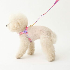 [yiCANDORzNo-Pull HarnessiMILKY WAYj pi hbOObY n[lX hbOn[lX n[lX^ n[lX pn[lX UObY Upi ؍