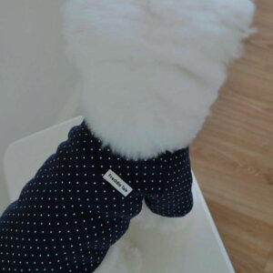 \̔yFREDDIE TALEzDotter raglan tee(navy) ؍ pi hbOObY TVc X[uX hbOEFA  ̕ ^ ^