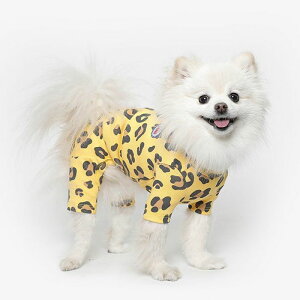 \̔yTUSTUSzLeopard All In OneiYellowj  hbOEFA ̕ ^ ^ pi hbOObY ؍ t 