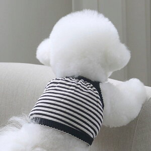 \̔ynear by uszStripe Petit Crop TopiCream Cookiej ؍ pi hbOObY TVc X[uX hbOEFA  ̕ ^ ^