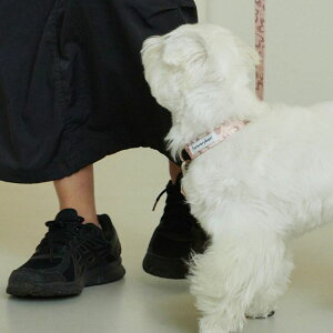 \̔yforeverybarizMarble Heart Pet CollariStrawberryj pi hbOObY  ̎ hbOJ[  p ؍ v S