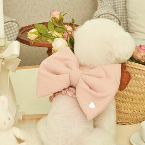 [ymeaninglesszHeart Ribbon HarnessiPinkj pi hbOObY hbOEFA  ̕ ^ ^ n[lX ̃n[lX hbOn[lX