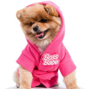[yMOSHIQAzParis Collection Boss Babe Dog Bathrobe AJ pi hbOObY hbOEFA  ̕ ^ ^ ^I oX[u
