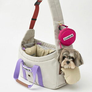 \̔yiCANDORzPEEK-A-BOO BAG IvViCOZY ALL IN ONE CUSHION - CREAMj ؍ pi hbOObY L[ XO pobO hbOobO ̃obO L[obO XOobO