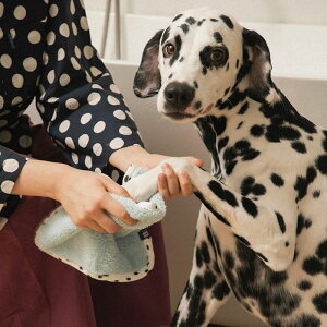 \̔yBITE MEzBiteme × FINCA Dry Me Microfibre Pet Towel Originali2colorsj ^I hbOObY pi ؍ ybg^I }CNt@Co[ ybgp^I p^I z 