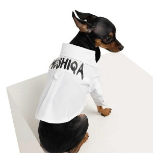 [yMOSHIQAzGroom Dog Shirt AJ pi hbOObY TVc X[uX hbOEFA  ̕ ^ ^