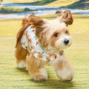 [ymunikundzBug Guard One-Hole M-BandiYellowj  hbOEFA h ⊴ R ^ ^ ybgCtX^C fUC S