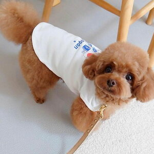 [yFIFA WORLD CUP QATAR 2022_zFIFA dog sleevelessiWhitej p m[X hbOEFA ̕ L̕ L  TbJ[ {\ { Wp JAPAN TCWp JAPAN ItBVCZ