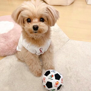 [yFIFA WORLD CUP QATAR 2022_zFIFA dog sleevelessiWhitej p m[X hbOEFA ̕ L̕ L  TbJ[ {\ { Wp JAPAN TCWp JAPAN ItBVCZ
