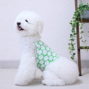 [yoriginalzfCW[`[tV[gL~gbviO[j ؍ uh 킢  v[g ^ gC NEW t 