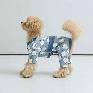 \̔yandblankzandblank×jessica nielseniLilly Frill Rompersj  hbOEFA ̕ ؍ pi hbOObY ^ ^ t t